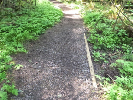 Compacted gravel trail - transition to natural trail - wooden edge board holds gravel in place